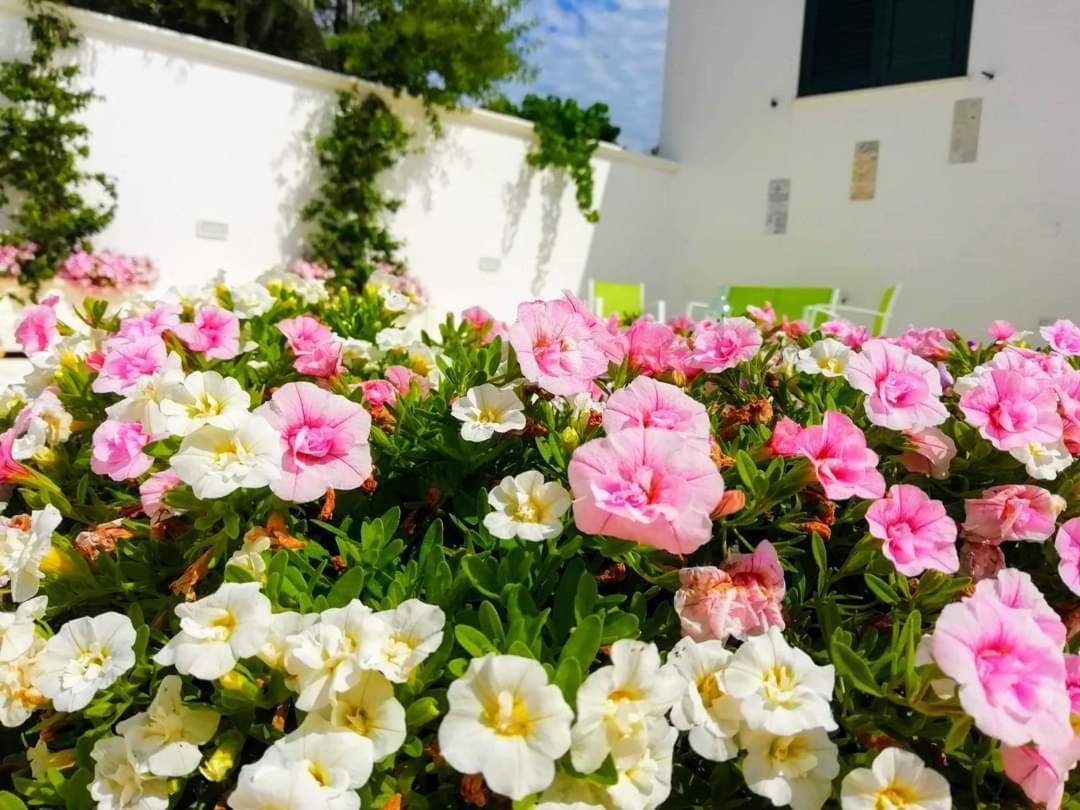 B&B Sole Mare Vento Maruggio Exterior photo